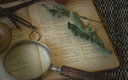 Les bienfaits d&rsquo;une consultation avec votre naturopathe Sésame Naturo