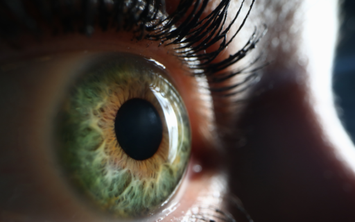 C&rsquo;est quoi un bilan Iridologique ?